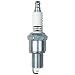 Champion 7031 Double Platinum Power Replacement Spark Plug, (Pack of 1)