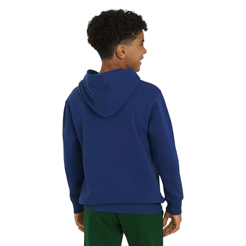 Image of Champion boys Graphic Hoodie Pullover Sweatshirt for Kids With Stylish Embellishments