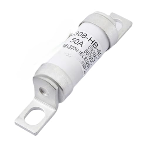 Fuse rapide RS308-HB-4G 50A haute performance basse tension 690V