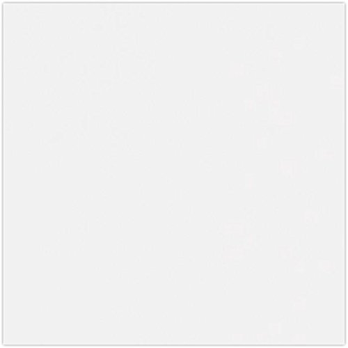 Papier cartonné blanc pour vos albums souvenirs et ateliers créatifs en famille