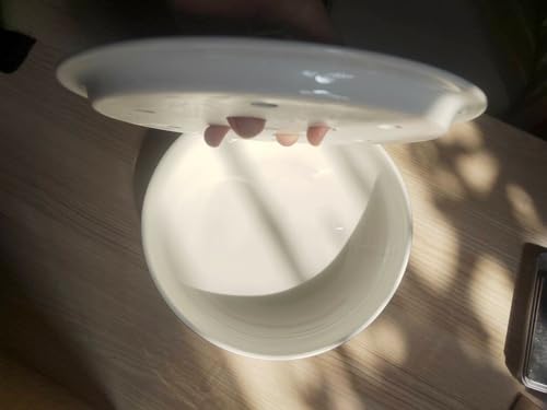Image of Porcelain Tea Tray, Double-Layer Ceramic Tray Round Elegant Blue & White Design, Large Capacity Water Basin, Smooth & Easy to Clean