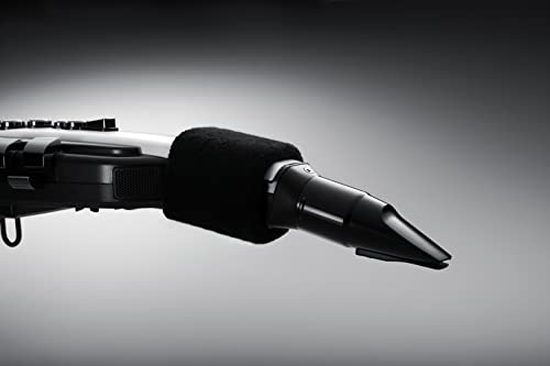 Roland Digital Wind Instrument, Matte Black And White (Ae-20) #TOP4