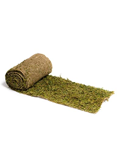 Chemin DE Table Mousse sur Jute 20 CM X