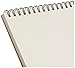 Strathmore (400-7 400 Series Drawing Pad, 14