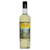 Licor de Anís y Miel de Abeja Xtabentún de Casa D'Aristi 750 ml