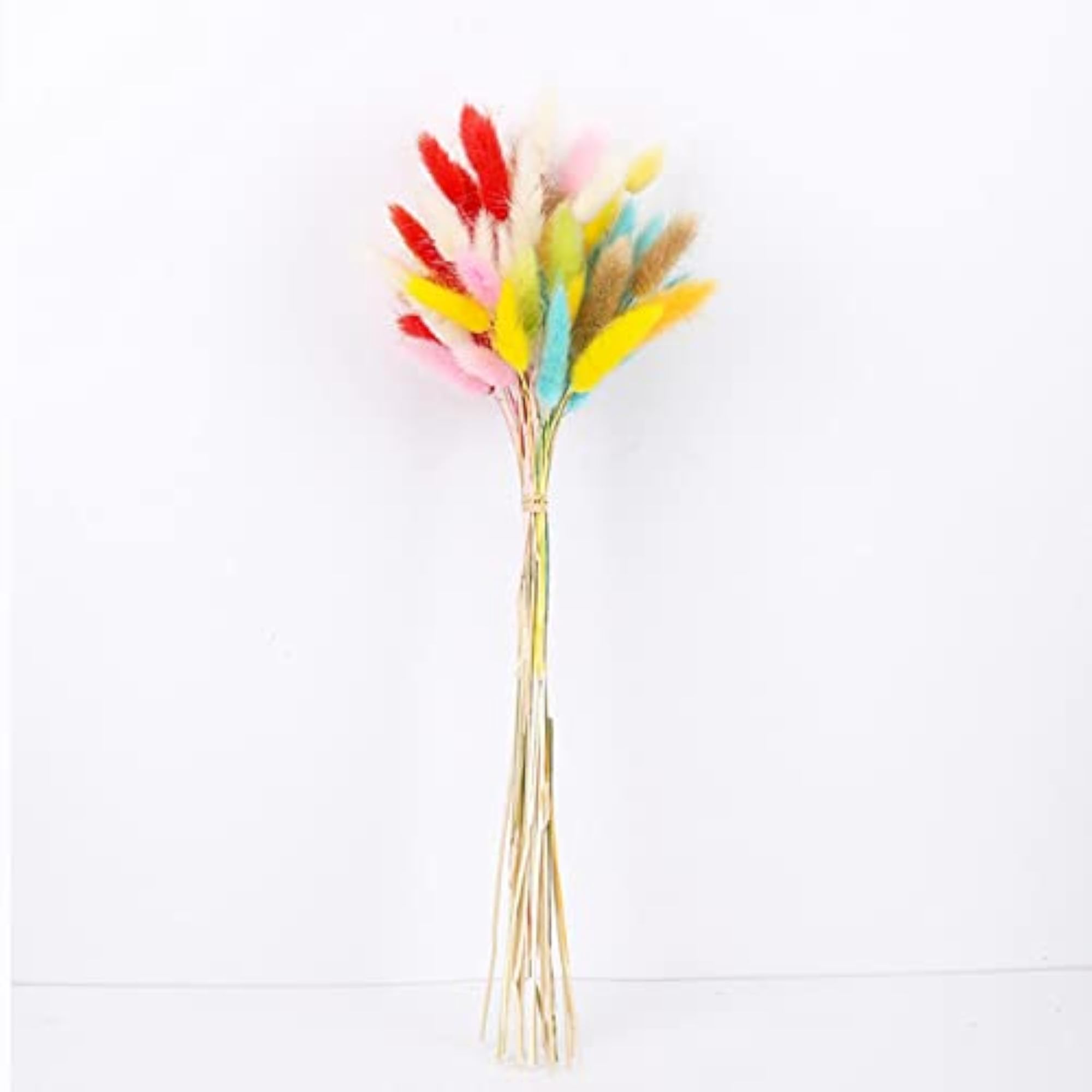 2x Natural Dried Flowers Bouquets Rabbit Tail Grass Decor Yellow