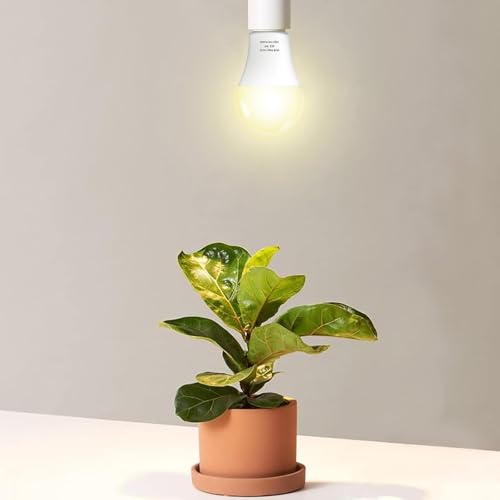 Wiyifada 3 Pack Full Spectrum Grow Light Bulbs,A19 Grow Lights for Indoor Plants,Dimmable E26 9W Grow Bulb Replace up to 100W,Plant Lights for Indoor Growing,Flowers,Greenhouse,Indore