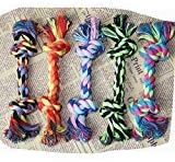 KRexpress Dogs Rope