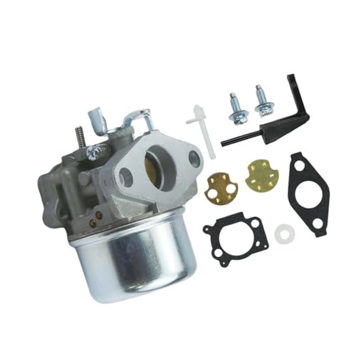 Carburateur pour Briggs 795069 en alliage durable pour entretien motoculture
