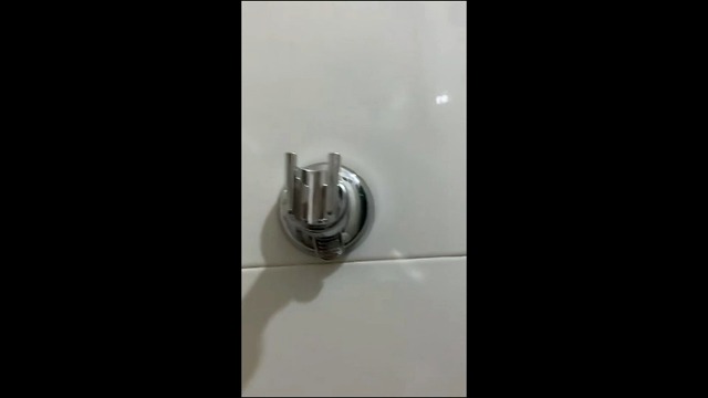 Support Douchette Ventouse, 2 Support Douchette pour Pommes de Douche, Support Pommeau de Douche