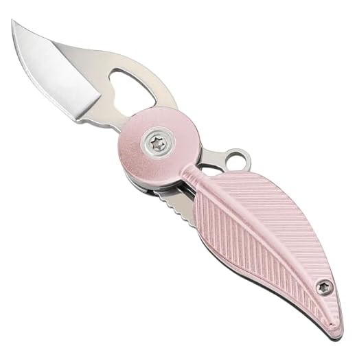 Coowolf Pocket Knife Womens with Chain, Small Pocket Knife, Stainless Steel and Aluminum Alloy Handle, EDC Small Knife, Practical Key Accessories Creative Gift for Women