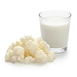 Kefir-for-all Bio Kefirknollen (Milchkefir) – Lebende Bio-Kefirkultur für hausgemachten Kefir – 8 g