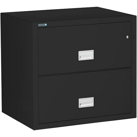 Phoenix 2-Drawer Fireproof File Cabinet with Lock Cover