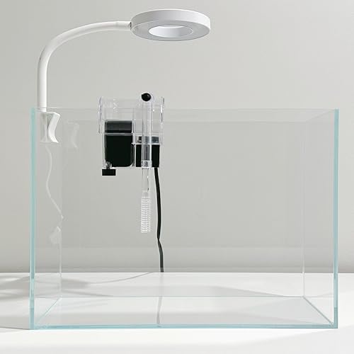 Nano-Aquarium-Set, kleines Betta-Fisch-Aquarium, 2,2 Liter, randloses Glas-Fischbecken mit Filter, Licht und Aquascaping-Dekorationen (transparent, komplett) – Bild 5