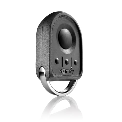 Somfy 1870880 - Télécommande Keygo Io | Pour Commander Jusqu'à 4 Moteurs De Porte De Garage Ou Portail Io