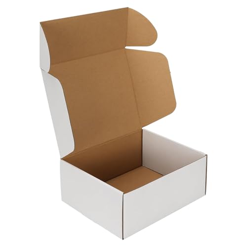 RLAVBL Caja de Cartón Blanco 25.4x20.4x10.2 cm, Pack de 1, Ideal para Envíos.