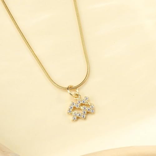 Image of SALTY Anti Tarnish Zodiac Sign Pendant Necklace for Women Men | Stylish Locket Neck Chain | Fashion Jewellery Accessories for Girls Boys | Minimal Jewelry | Ideal for Gifting | Gift for Diwali, Christmas, Marriage, Birthday