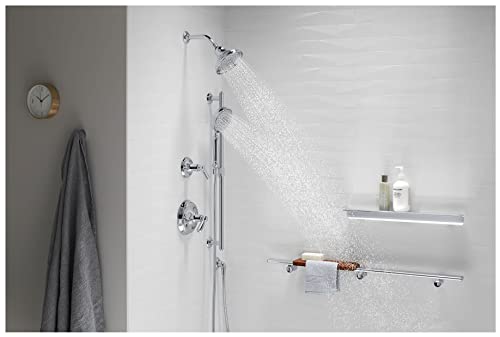 Coude d'alimentation anti-retour Kohler 22173-TT Bancroft titane vibrant durable - 3