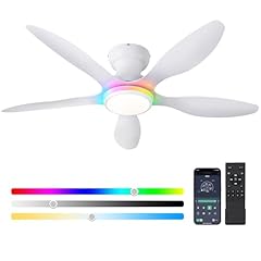 White Fan, Led Natural Light+RGB Light