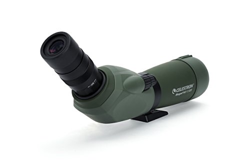 31FXMFSZmsL Celestron Regal M2 65ED Spotting Scope – ED Glass for Hunting, Birding and Outdoor Actvities – Phase and Dielectric Coated BaK-4 Prism – Fully Multi-Coated Optics – Dual Focus – 16-48x Zoom Eyepiece - Image 3
