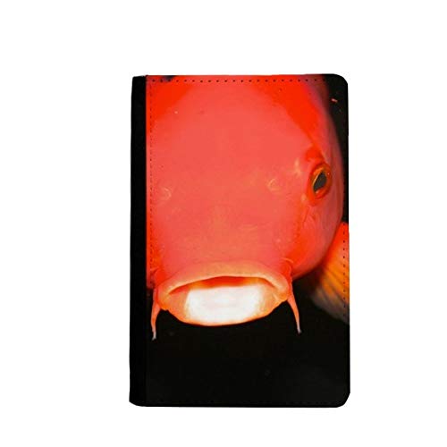 Porte-passeport avec étui portefeuille cartes motif marin