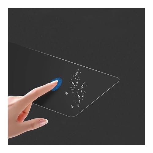 Film protection tableau de bord haute finition pour Forza 500 - 6