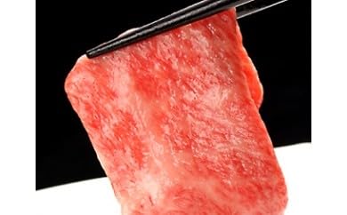 飛騨牛 5等級 サーロイン すき焼き用 厚切り 600g 牛肉 和牛 飛騨市推奨特産品 古里精肉店謹製 すきやき すき焼き 鍋 岐阜県 飛騨市
