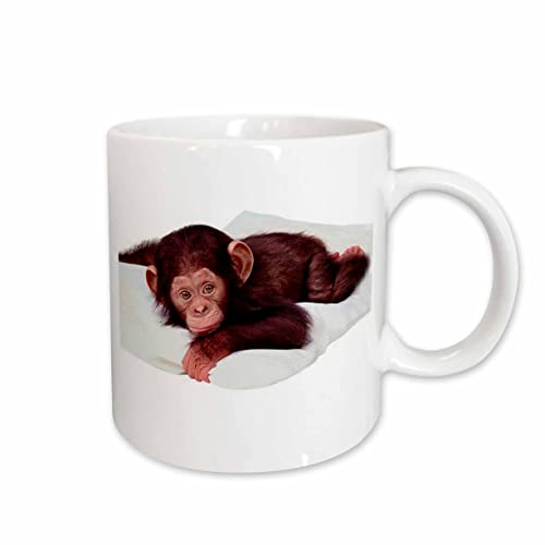 3dRose Cute Chimpanzee 15oz Mug