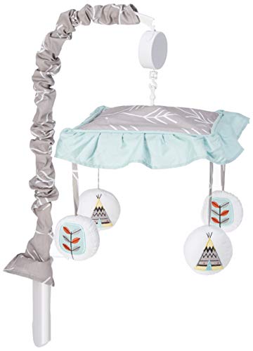Sweet Jojo Designs Outddor Adventure Aqua Blue and Gray Nature Musical Baby Crib Mobile