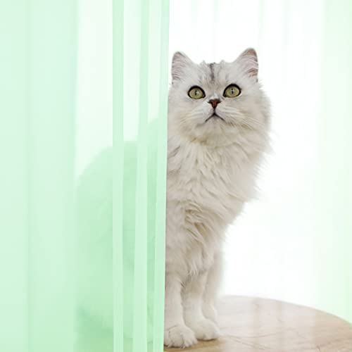 Image of Window Light Green Sheer Curtains 63 Inches Long 2 Panels Clear Curtain Basic Rod Pocket Panel 12 Colors White Beige Grey Purple Pink 63 72 84 95 108 Inch For Bedroom Children Living Room Yard Kitchen