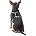 HUNTER TRIPOLI Hundegeschirr, kleine Hunde, Nylon, reflektierend, robust, XS-S, hellblau