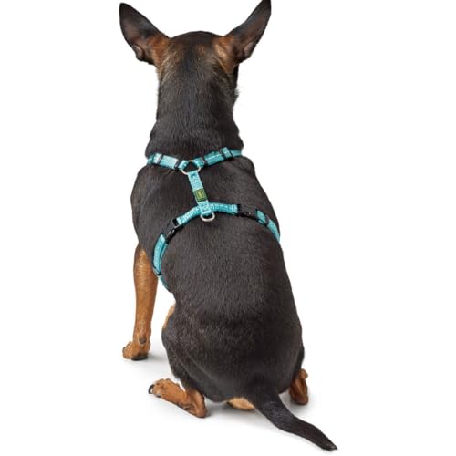 HUNTER TRIPOLI Hundegeschirr, kleine Hunde, Nylon, reflektierend, robust, XS-S, hellblau