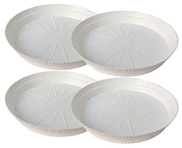 Khushals 6 inches Plastic Garden Flower Planter Pot Gamla Dripping Round Tray Base Container Holding Small Plants Indoor Outdoor Gardening (Pack of 12 (White)) (B0CKZ8T2YH) Amazon Price History, Amazon Price Tracker