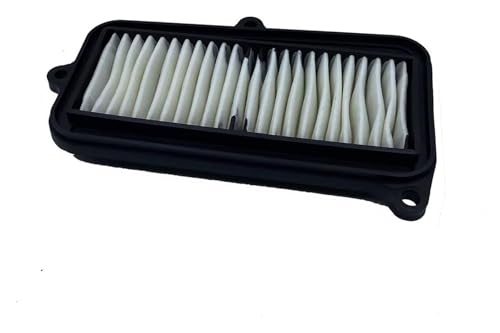 Pièce de rechange carburateur Hyosung GV250 et filtre admission air QM250-6