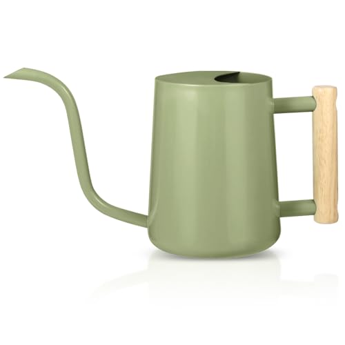 Image of Watering Can for Indoor Plants, 35oz Small Stainless Steel Metal Pot with Long Spout - Modern Decorative for House Plant, Bonsai, Outdoor Garden Flowers - Sage