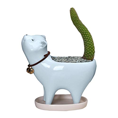 WINBST Macetas de cerámica, bonita cola de gato, cactus, con orificio de drenaje, decoración de escritorio