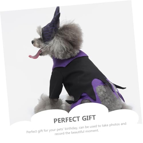 Disfraz Halloween para Perro Tamaño L, Sombrero Bruja miniatura 5