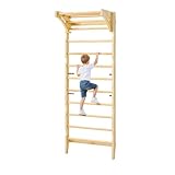 VEVOR Swedish Ladder Wall Gym, 2-in-1 10-Level Indoor Jungle Gym, 220LBS Loading Solid Wood Gymnastic Stall Bars for Kids & Adults, Indoor Playground Climbing Playset with Pull-Up Bar, Wall Ladder