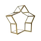 Hohopeti Five-Pointed Star Bottle Coin Jar Star Keepsake Boxes Mini Small Wishing Bottle Glass Wish Jar Ideal Corsage Box for Preserved Flowers Origami Stars Jewelry Birthday Gift Storage