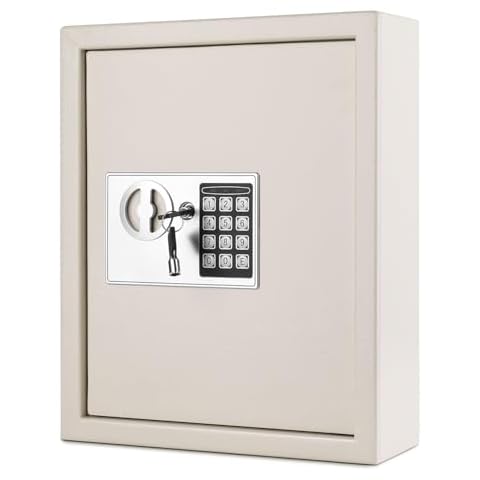 Flexzion Key Box Wall Mount With Code, Key Cabinet, Key Deposit Slot, 40 Key Holder Organizer Locker Case, Colored Key Tags Wall Mounted Lock Box For Keys Storage (Gray) Cover