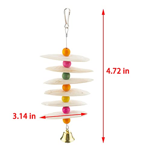 Dqitj Bird Cuttlebone Chew Toy, Natural Bird Calcium Cuddle Bone For Parrot Cockatiel Budgie Conure Sharp Beaks (6 Pcs In A Bunch) #TOP3