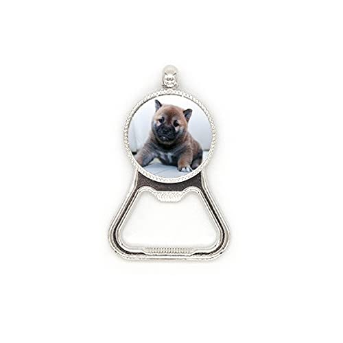 Décapsuleur en acier inoxydable en forme de chiot mignon et robuste