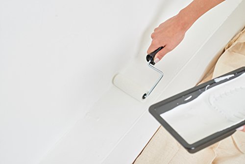 Coral 43102 Max Coat Paint Roller Kit - 4 Inch Mini Rollers for Emulsion/Gloss - 4 Pc Set - Black Paint Tray - Small Paint Roller Kit/Wall Painting - Essential Paint Roller Kit for House Painting - Image 11