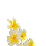 ウォールステッカー 飾り 90×90cm シール式 装飾 おしゃれ 壁紙 はがせる 剥がせる カッティングシート wall sticker 雑貨 ガラス 窓 DIY プチリフォーム パーティー イベント 賃貸 フラワー 花 プルメリア 001027