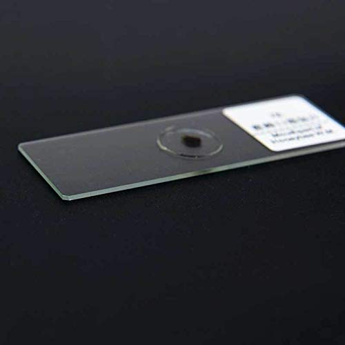 100PCS Professionale Slice Vetro Vetrini for microscopio educativo Esemplare Umano Tessuto sezioni con Scatola di plastica
