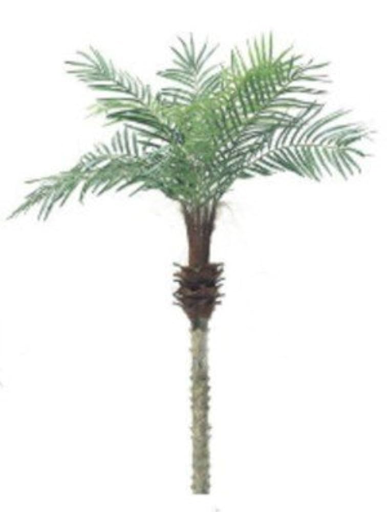 Amazon.co.jp: ヤシの木「フェニックスパームツリー」人工観葉