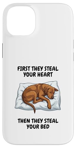 ���B�Y�� �� ���B�Y�� ���l ���B�Y�� �I�[�i�[�Y �X�}�z�P�[�X iPhone 14 Plus �p