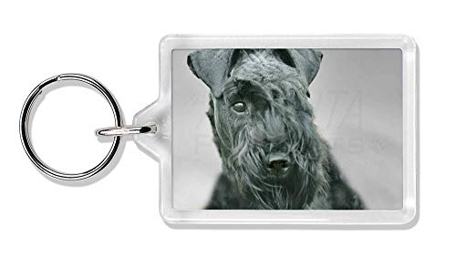 Preisvergleich Produktbild Advanta - Keyrings Kerry Blue Terrier-Hund Foto Schlüsselbund TierstrumpffüllerGeschenk