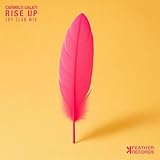 Feather Records