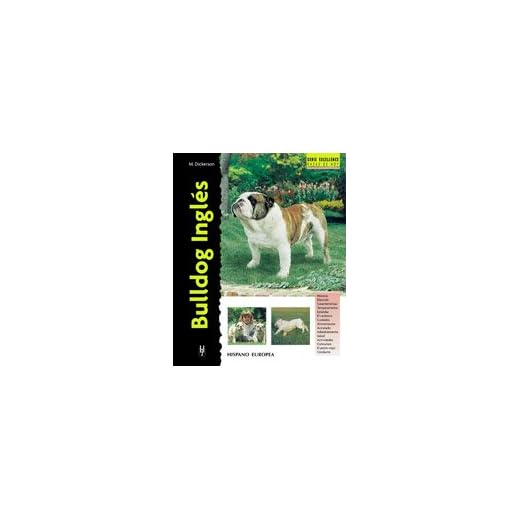 Bulldog Inglés (Excellence)